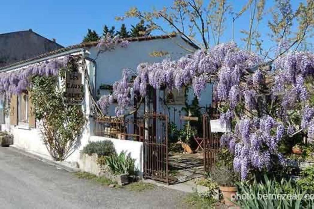 Maison Coquelicots - 4 Personnes - Jardin Mornac-sur-Seudre Экстерьер фото